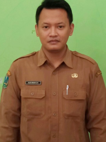 ALEX BRIAN CANDRA PERMANA